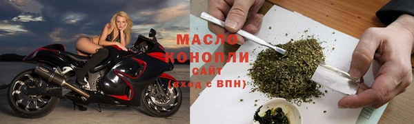 сатива Аркадак